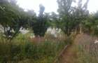 Gradina cu cabana la balastiera Micalaca - 3