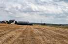 Teren intravilan de 8000 mp, în Șimnicu de Sus - 2