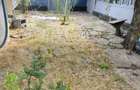 Casă cu 3 camere în Alexeni - 2