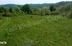 Teren 19.452 mp de vanzare in Curtea de Arge?. - 1
