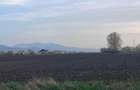 Teren agricol de 50000 mp, în Hălchiu - 1