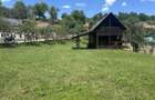 Vand teren intravilan - 4
