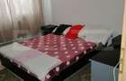 Apartament 2 camere, etaj 2/4, complet mobilat si utilat, zona cu faci - 9