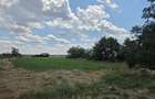 Teren intravilan 5000mp Burias, Peris IF - 1