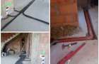 Casă individuală cu 6 camere cu Teren 4870 Mp în Sălsig - 9