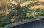 Vand teren intravilan, Ghermane?ti, strada Nicopole, padure - 1