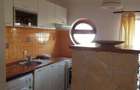 Apartament cu 2 camere decomandat în Delfinariu - 9