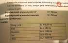 COMISION 0% Casa individuala 5 camere, Becicherecu Mic - Teren 790 mp, Garaj - 28
