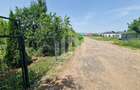 Teren Construcții intravilan de 1400 mp, în Nord-Est - 5