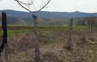 Vand teren intravilan - 5