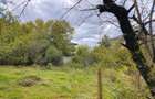 CASA + TEREN 700 MP TUNARI, ILFOV | 139.000 - 2