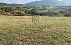 O oportunitate care îți atinge sufletul: Teren de vis la ieșirea din Rășinari
