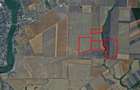 Teren agricol de 492000 mp, în Cernica - 1