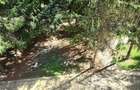 Casă individuală cu 7 camere cu Garaj în Băneasa - 18