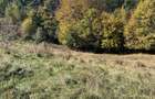 Teren intravilan de 2938 mp, în Morilor - 8