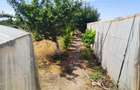 Casa + Curte + Teren arabil generos, Nerau, Teremia Mare, 1596 mp, locuibila imediat - 2