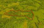 Teren ideal recreere/conectare cu natura/zona Fagaras/achitare in rate