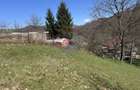 Teren 1,106mp Baia Mare / Strada Firiza - 10