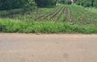 Teren intravilan, Comuna Salciile (Prahova), 1900mp, 11400 EUR - 4