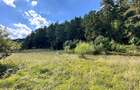 Teren Construcții intravilan de 4000 mp, în Brădet - 14