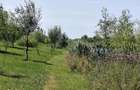 Balta de Pescuit | Cabana din Busteni | Teren 6,37 ha | langa Oradea - 7
