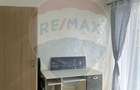 Apartament cu 3 camere decomandat în Nufărul - 10