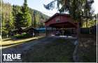 Cabana 210 m2 + teren 1400 m2 | Salard, Mures - 6