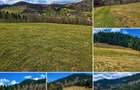 Teren intravilan 6.260 mp Vidra Alba langa Arie? | utilita?i | se poate impar?i - 1