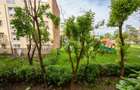 Apartament cu 4 camere decomandat în Craiter - 11