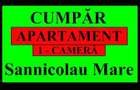 Apartament 1 camera in Sannicolau Mare - 5