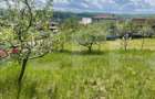 Investitie ! Teren intravilan,494 mp, front 14 m,cart Dambu - 6