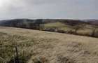 De vanzare,Tomnatic Bihor - 1