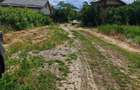 Teren Construcții de 470 mp, în Cornetu - 15