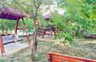 Apartament cu 5 camere decomandat în Cantacuzino - 23