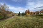 Teren de Vis in Bran - 1000mp Plat, Liniste Absoluta si Aer Curat - 9
