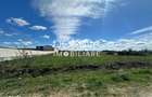Vanzare teren intravilan 10.339 mp -dubla deschidere- str. Narciselor - 3