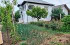 Vand casa mare cu livada, vie, gradina in Fratostita - 5