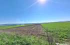 Teren extravilan, 8700 mp, pretabil agricultura sau inve... - 6