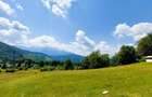 Teren Construcții de 80000 mp, în Vlădeț - Trei Brazi - 3