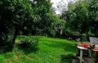 Apartament cu 2 camere decomandat în 15 Noiembrie - 1