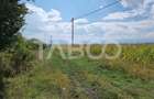 Teren agricol extravilan de 28000 mp, în Șura Mică - 6