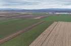 Teren agricol de 15000 mp, în Prejmer - 4