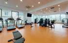 Apartament cu 2 camere semidecomandat în Domenii - 12