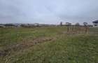 Vand teren Livezile Stadion - 2