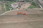 Teren Construcții intravilan de 2350 mp, în Ampoi 1 - 1