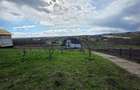 Casa cu teren 5000 mp de vanzare in comuna Bunesti jud Suceava - 8