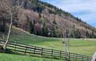 Teren de 6966 mp, în Bran - 9