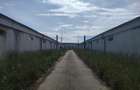 Spațiu industrial, de 1,200 mp, în Bod - 1