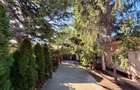 Casa + teren 882 mp, zona centrala Tecuci Str. Costache Racovita | Proprietar