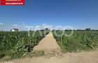 Teren intravilan 2000 mp si extravilan 1150 mp de vanzare in Vad - 1